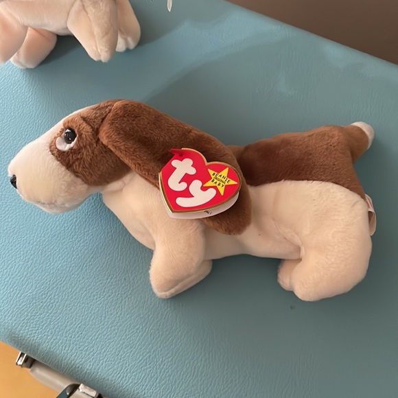 Ty Tracker * Beanie Baby * Date of Birth: June 5, 1997 * Basset Hound - Picture 3 of 13